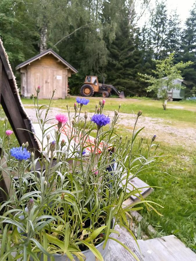 Kulttuurikartano Pekan Pirtit Haapavesi Exteriér fotografie